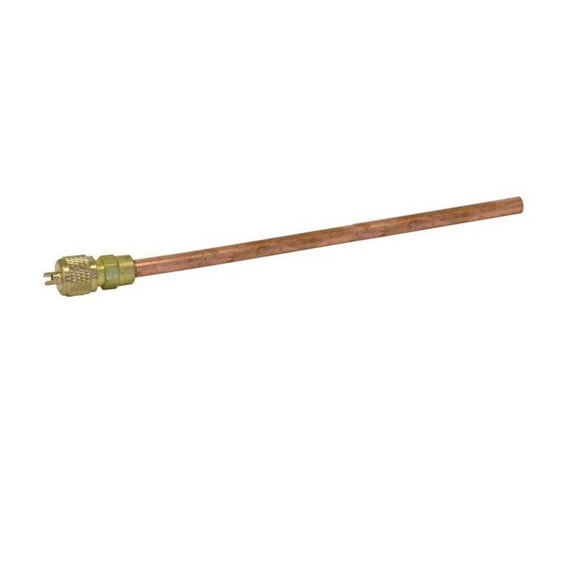 VÁLVULA OBÚS CON TUBO 466000901